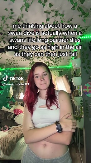 Swan Dive After Partner Dies - Heartbreaking Footage