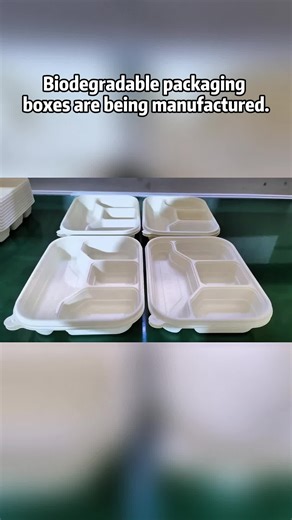 We are a packing box manufacturer. Wholesaling disposable biodegradable eco-friendly boxes. Click to follow for cooperation. #Foodpackaging #biodegradable #packaging #tableware #factory