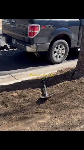 Front yard remodel #repair #remodel