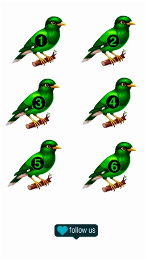 Amazing game #Amazing #game #tricks #tips #ideas | Shazad Creator | Facebook