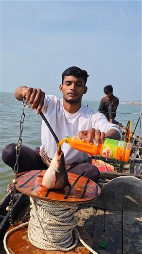 Unique taste shark fish haunting bait throw in Padma river #fishingtrip #shots