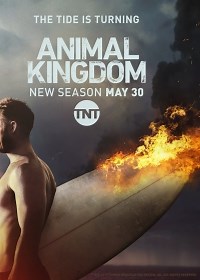 Сериал По волчьим законам 2 сезон Animal Kingdom смотреть онлайн бесплатно!