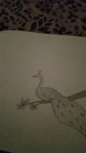 please like and subscribe and support and this is video share har EK person please like Kare🙏🙏🙏