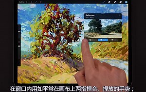 【Procreate干货】怎样使用参考功能-最好用的小技巧之一