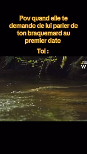 meme.pas.mal on Instagram: "#memefr #memefrancais #memefrançais #memefrance #drole #drôle #drolehumour #drolevideos #drolement #tweetdrole #tropdrole #videodrole #drolevideo #droles #blague #blaguedemerde #blaguedrole #blagues #blaguedujour #blaguedecul #humour #humourdemerde #humournoir #humourfrançais #humouràlaconne"