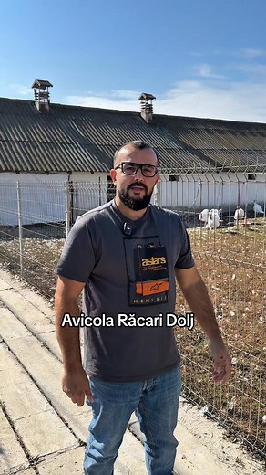 810K views · 10K reactions | #avicolaracari #avizoo #sfaturidecrestere #pasarisanatoase #fermagospodareasca #puiromanesc #kabir #azrosso #curcani #bibilici #crescatoriromani | Avicola Racari | Facebook