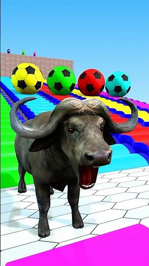 Animals buffalo animation #animalsanimations #buffalo #longslidegame