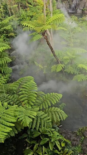 A breathtaking restaurant that overlooks an entirely man-made tropical garden, with a huge waterfall, flowing river cascading down, flanked by lush ferntrees😍🌿. When it rained, it was simply magic! And after the rain the clouds lifted to reveal the majestic Mt. Salak🏔. Only 1.5 hours away from Jakarta. 📍MaC99 8PPH 9PG, Jl. Gn. Malang, Sukajadi, Kec. Tamansari, Kabupaten Bogor, Jawa Barat 16610, Indonesia 🕙 Opens daily 10am to 9pm weekdays 9am to 10pm weekends #junglevibes #plantsmakepeopleh
