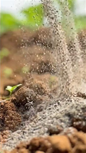 ✅✅“🪨 Rock Dust Farming 😱 | पत्थर से मिट्टी को पोषण!” #farming #shorts #viral
