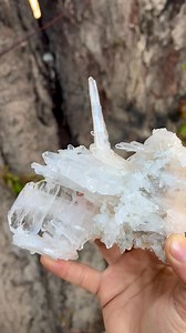 💎 Faden Quartz Cluster with Rainbow Luster 💎 A beautiful natural Faden Quartz cluster displaying classic bridge-like crystal growth, enhanced by subtle internal rainbow reflections that shimmer under light. The intergrown bladed crystals create strong visual movement and excellent aesthetic balance—an attractive specimen for advanced collectors. ✨ Distinct Faden (thread) growth 🌈 Natural rainbow sheen ✨ Well-developed crystal cluster 🌍 Collector-quality specimen 📍 Origin: Balochistan, Pakis