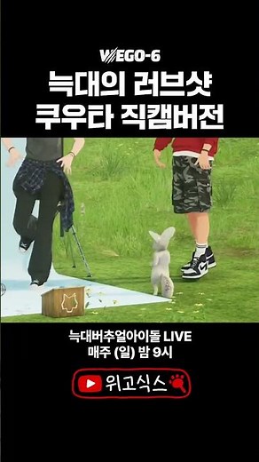 Wolf Kuta's EXO - Love Shot 🪽 Kuta KUTA #EXO #EXO