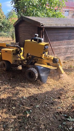 Stubbenfräse Baumstumpf entfernen www.garten-seesen.de | Andre Fuhrmann