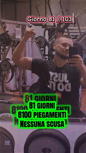 8100 piegamenti