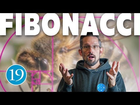 That Golden Spiral • Day 19