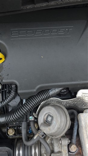 Ford Ecoboost Engine Wet Belt