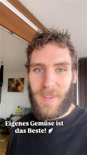 Das Gemüse auf dem Balkon ist gross geworden!