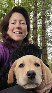 2.3K views · 140 reactions | Morning everyone PLEASE SHARE OUR STORY with YOUR FRIENDS. We are everyday people committed to make our world a easier and happier place through our multi talented assistance dogs. Please join us making a real difference through the power of dogs. https://dogsfordisabled.ie/operation-restoration | Dogs for the Disabled | Facebook