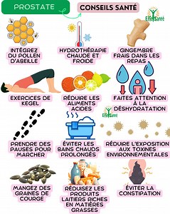 12 conseils pour maintenir une prostate en bonne santé : Pollen d'abeille : Prenez une cuillère à café chaque matin dans un smoothie ou du yaourt. Hydrothérapie : Alternez 5 minutes de bain chaud et 1 minute de bain froid, 3 fois par semaine. Gingembre frais : Râpez du gingembre dans vos soupes, salades ou thés 2-3 fois par semaine. Exercices de Kegel : Contractez les muscles pelviens pendant 5 secondes, puis relâchez. Faites 10 répétitions, 3 fois par jour. Réduire les aliments acides : Limitez