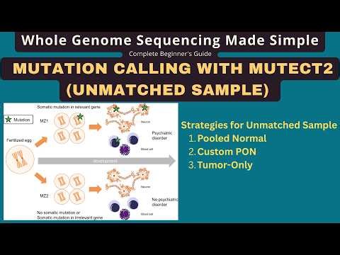 WGS Analysis for Beginners Part 2B: GATK Mutect2 Unmatched Sample Somatic Mutation Calling
