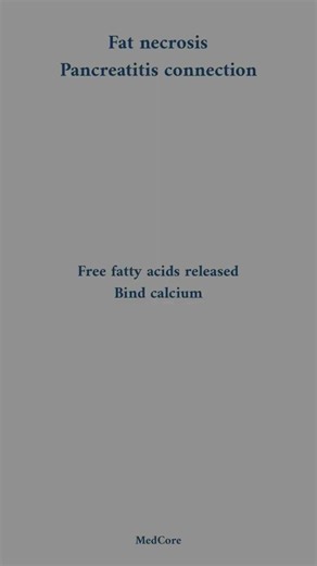 Fat necrosis. Source: Robbins & Kumar basic pathology. #fat#necrosis#pathology#robbins