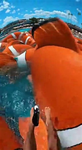 Waterslide into pool full of giant fish #funny #memes