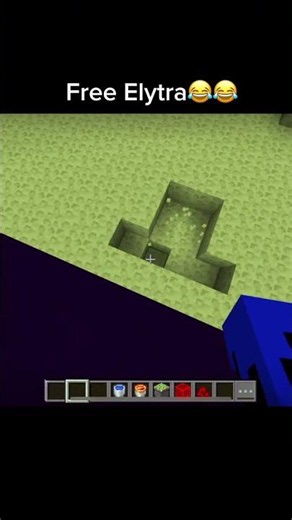 Free Elytra😂😱 #minecraft #funny #minecraftshorts #memes