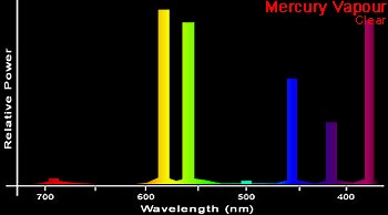 10 facts to know about Mercury lamp spectrum - Warisan Lighting
