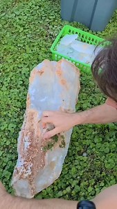 3.5K views · 631 reactions | Big crystal ASMR #omearthcrystals #crystalmining #crystalcollecting #selenite #asmr | Omearthcrystals | Facebook