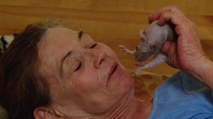 My Strange Addiction - rats