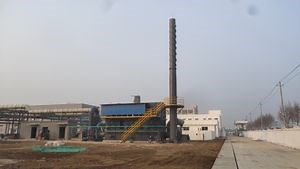 [Hot Item] Advanced Technical Support for Waste Gas Rto Incineration Systems