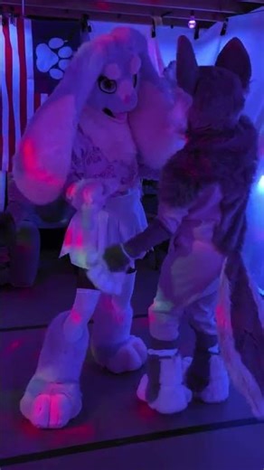 Rabbit and Arctic Wolf Dancing together at the Wuff Den. #furry #fursuit #furries #fursuiter
