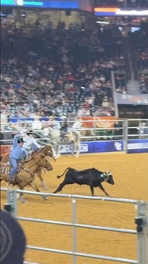 Houston Rodeo 2026 - Team Roping Part 1 (March 11th 2026)