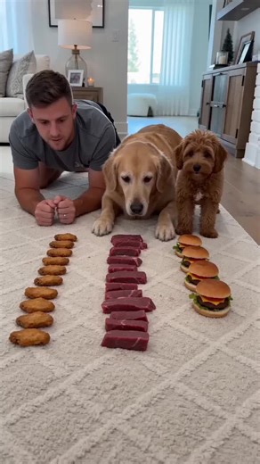 Effective Dog Training: Quick Tips for Success