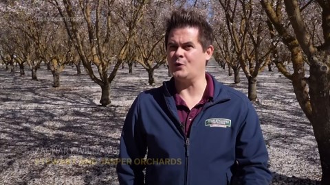 California, world's biggest almond producer, braces for trade war, retaliatory tariffs