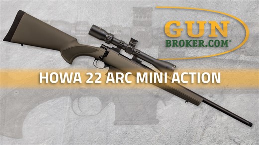 Faster, More Accurate: Howa 22 ARC Mini Action Review