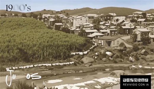 A comienzos de los 1900s, Juncos era un pueblo agrícola vibrante en el sureste de Puerto Rico, con fértiles tierras dedicadas a la producción de caña de azúcar y café. Aunque hoy el Valle del Turabo se asocia principalmente con Caguas, histórica y geográficamente también se conecta con Juncos, especialmente en las áreas agrícolas cercanas a los ríos Gurabo y Valenciano, que impulsaban los molinos y el comercio local. La economía giraba en torno a las haciendas y centrales azucareras que empleaba