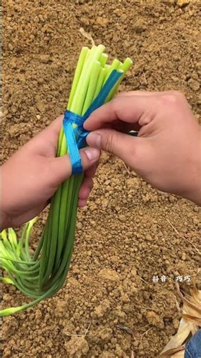 Knotting Techniques #KnottyingMethods #KnottingTutorials #Knots