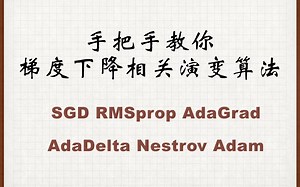 P5【AdaDelta】手把手教你 梯度下降相关演变算法 SGD RMSprop AdaGrad AdaDelta Nestrov Adam等