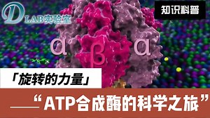 微观世界的奇迹：ATP合成酶的旋转奥秘