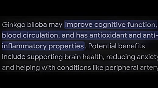 Ginkgo Biloba Supplement Benefits