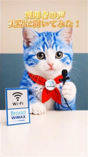Broad WiMAX User Reviews! We Asked Real Users What They Think!