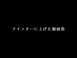 ツイッターに上げた動画まとめ