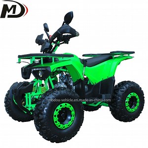 [Hot Item] Heavy Load 120kg 125cc 2WD Gas-Powered 4-Stroke Quad Bike