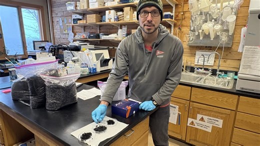 Biochar bags to tackle PFAS contamination in Acadia National Park this spring