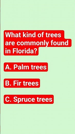 What kind of trees are commonly found in Florida ?