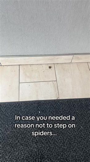 Don't Step on Spiders: 100 Babies Might Appear!