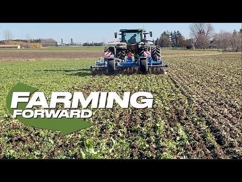 Farming Forward: Tips for terminating cover crops