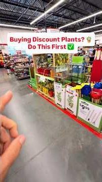 Buying discount plants? Do this first! #gardening #fruittrees #citrus #growyourownfood ￼