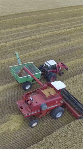 1586 International Harvester Tractor #kansas #farming #caseih