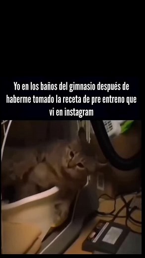 gymratsmx on Instagram: "Real yo #gym #gymmotivation #gymmemes #gymrat #gymreels #fyp #fit #fitness #fitnessmotivation #bodybuilding #bodybuilder #aesthetic"